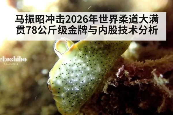 马振昭冲击2026年世界柔道大满贯78公斤级金牌与内股技术分析